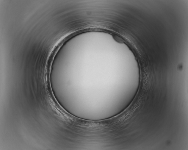 X0000116291076200912141306