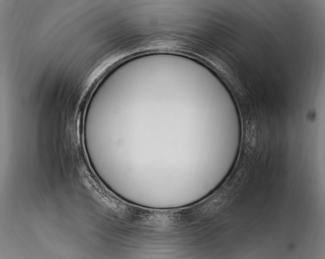 X0000116291078200912141306