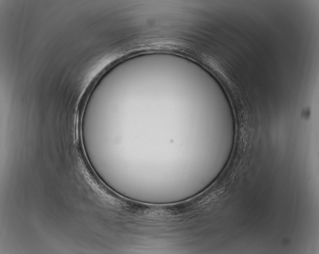 X0000116291079200912141306