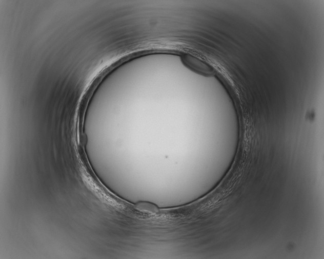 X0000116291080200912141306