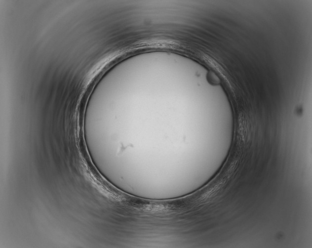 X0000116291082200912141306