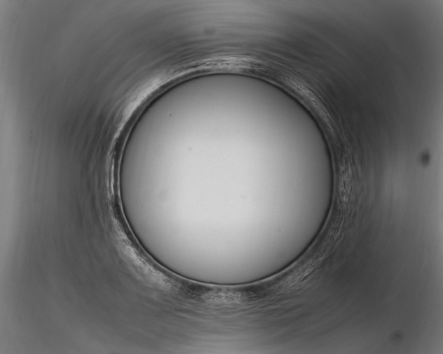 X0000116291083200912141306