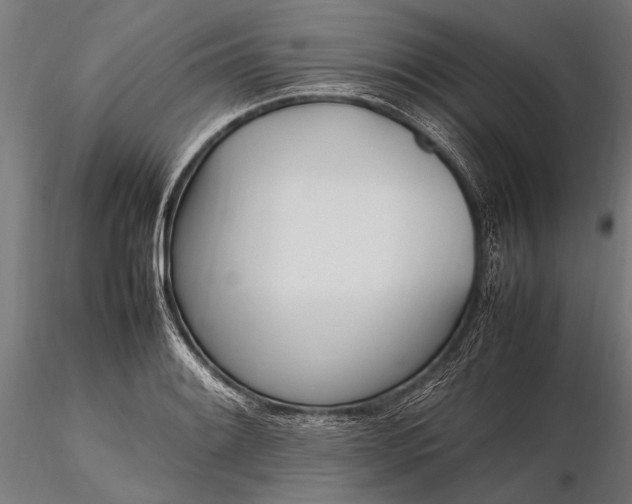 X0000116291084200912141306