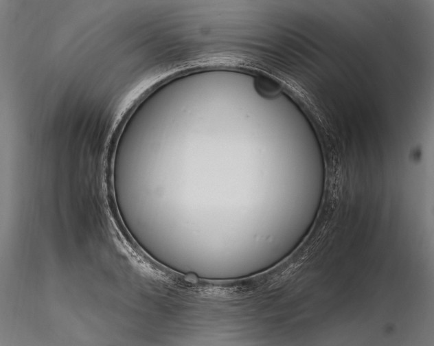 X0000116291086200912141306