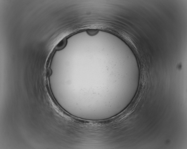 X0000116291087200912141306