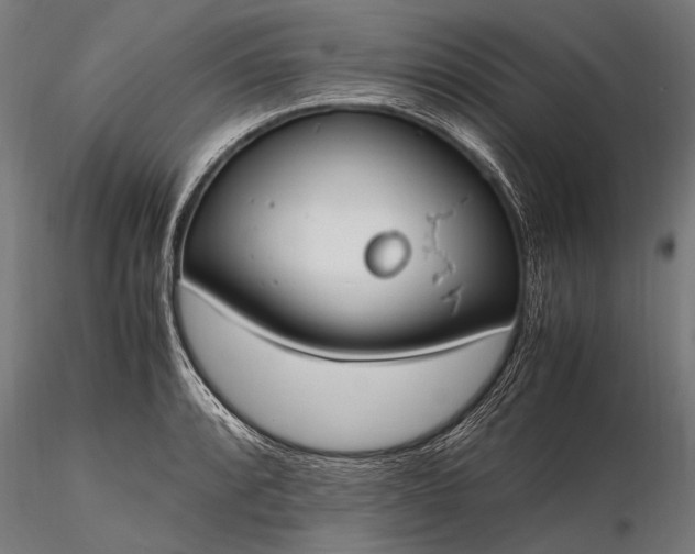 X0000116291088200912141306