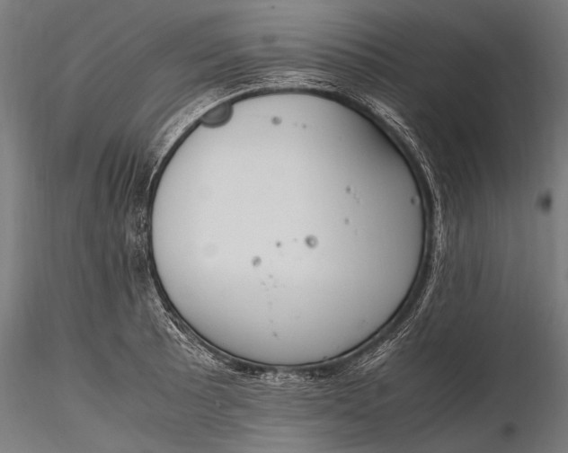 X0000116291089200912141306