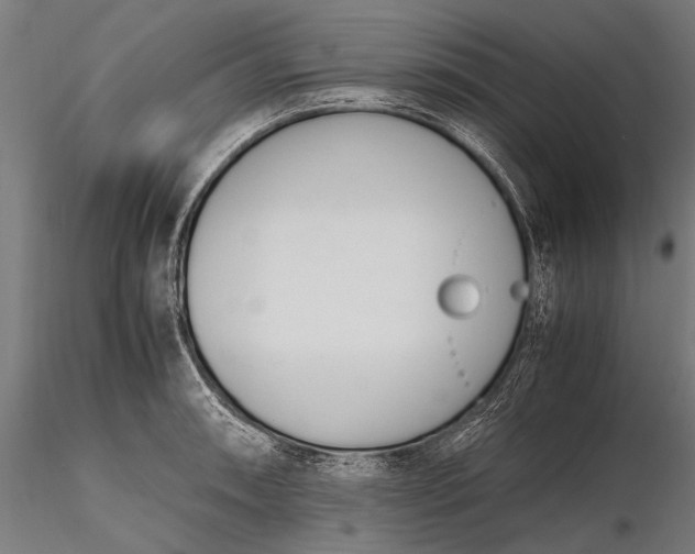 X0000116291090200912141306