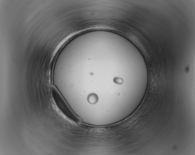 X0000116291092200912141306