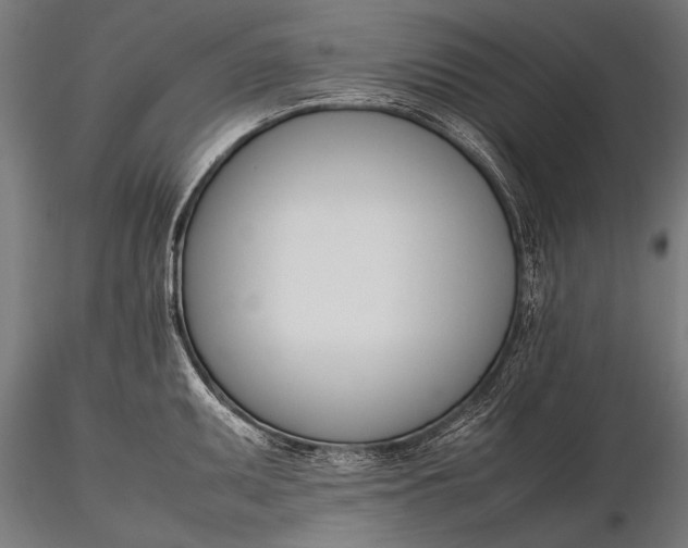 X0000116291095200912141306