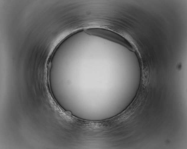 X0000116291096200912141306