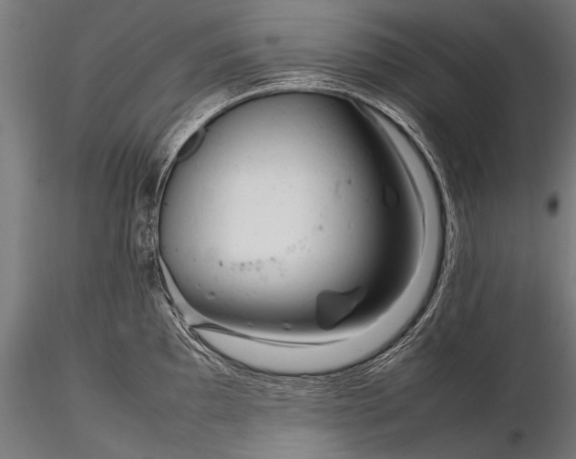 X0000116291097200912141306