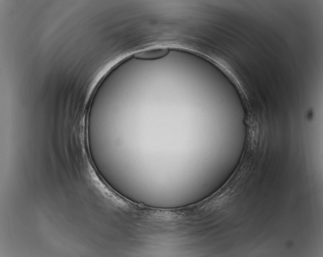 X0000116291100200912141306