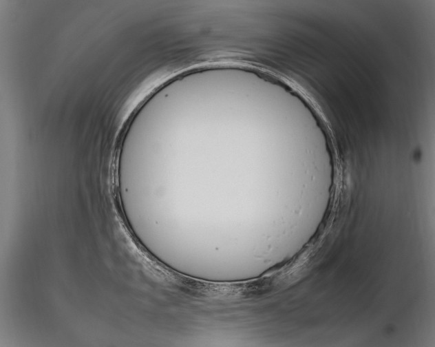 X0000116291101200912141306