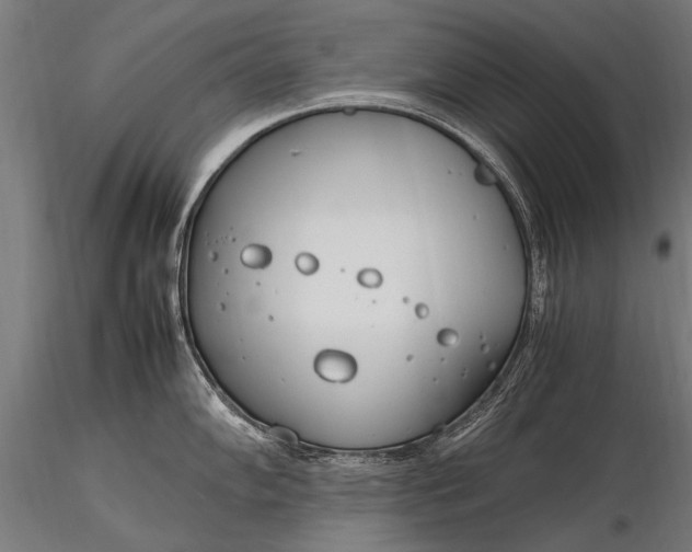 X0000116291102200912141306