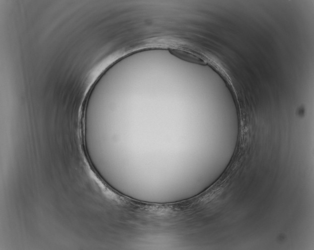 X0000116291103200912141306