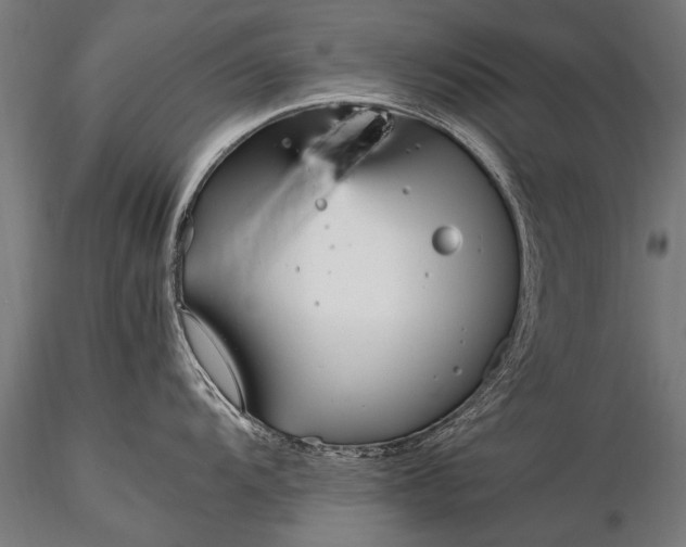 X0000116291104200912141306