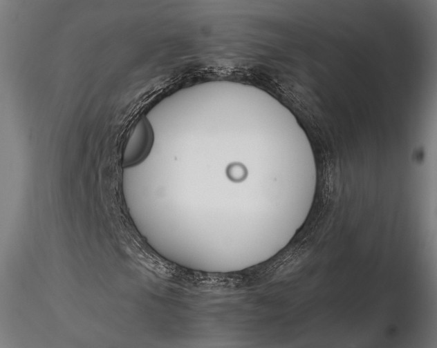 X0000116291105200912141305