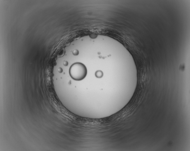 X0000116291106200912141305