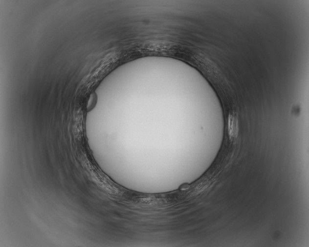 X0000116291107200912141305