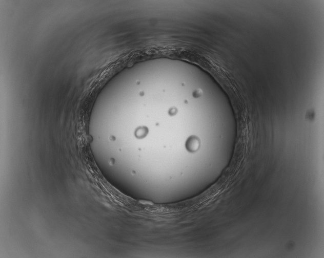 X0000116291109200912141305