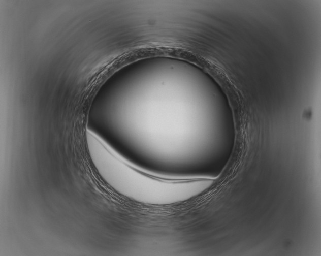 X0000116291110200912141305