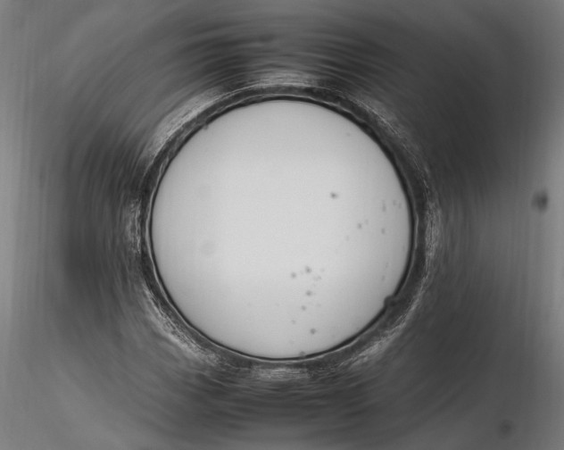 X0000116291113200912141305