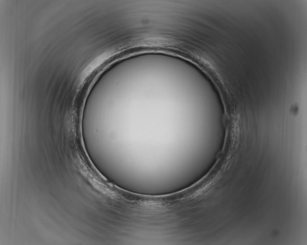 X0000116291114200912141305