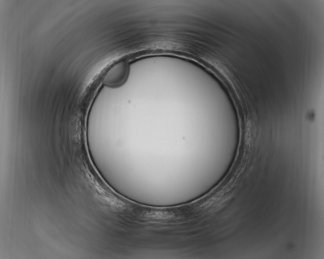 X0000116291115200912141305