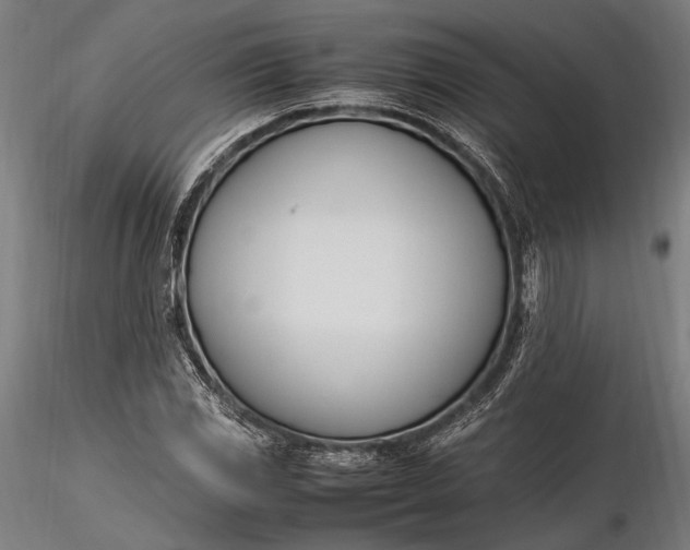 X0000116291117200912141305