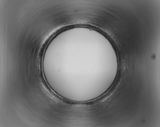 X0000116291118200912141305