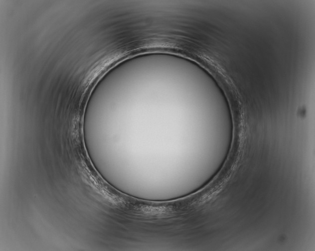 X0000116291121200912141305