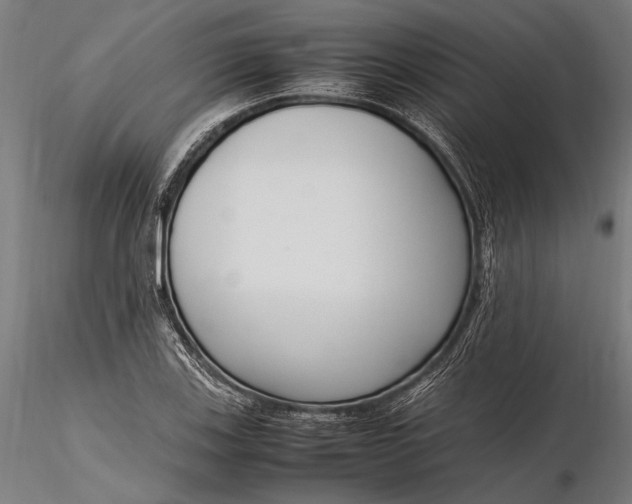 X0000116291123200912141305