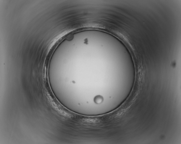 X0000116291125200912141305