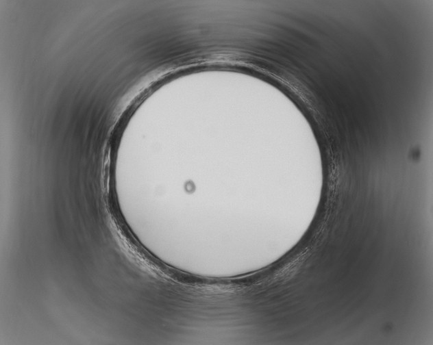 X0000116291126200912141305