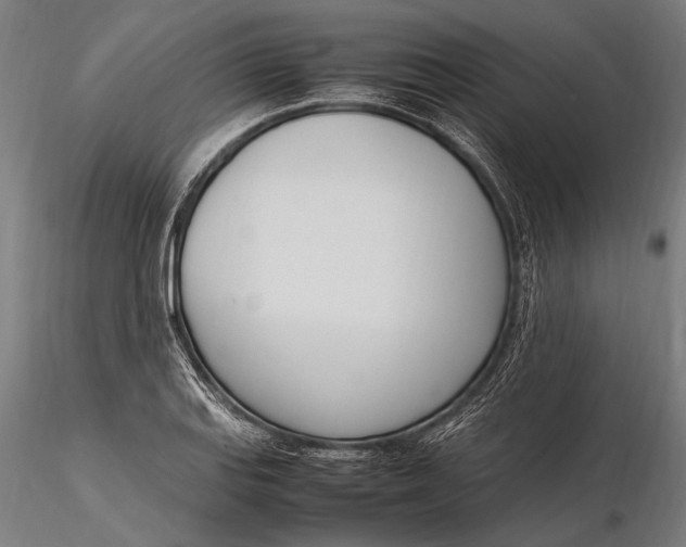 X0000116291127200912141305