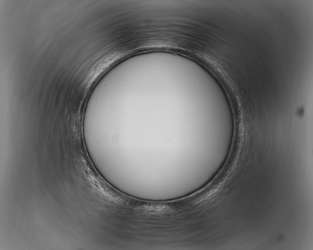 X0000116291129200912141305