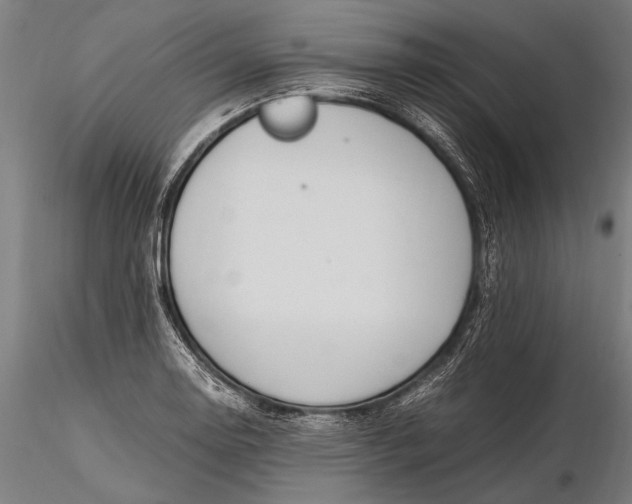 X0000116291130200912141305