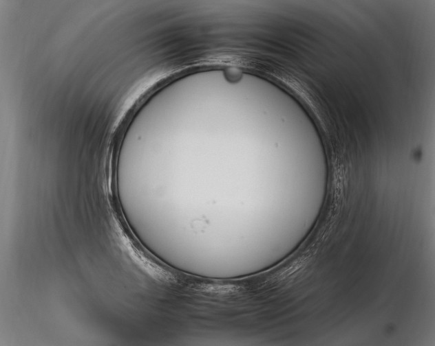 X0000116291131200912141305