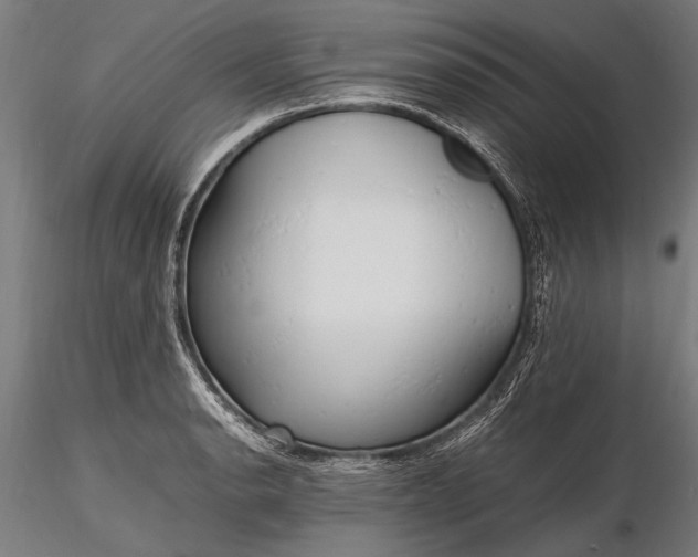 X0000116291134200912141305