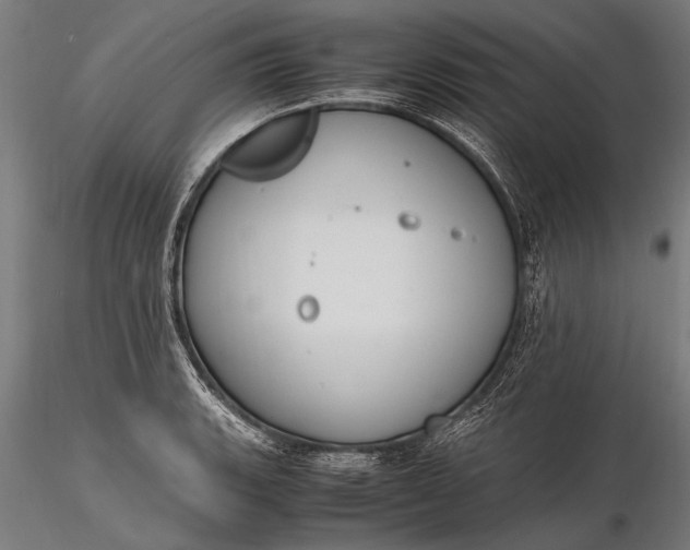 X0000116291135200912141305