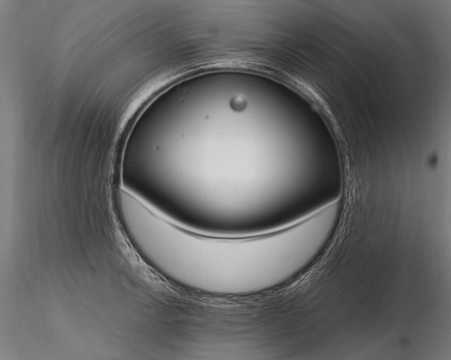 X0000116291138200912141305