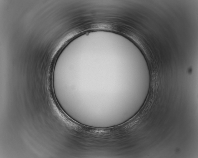 X0000116291139200912141305