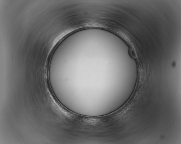 X0000116291141200912141305