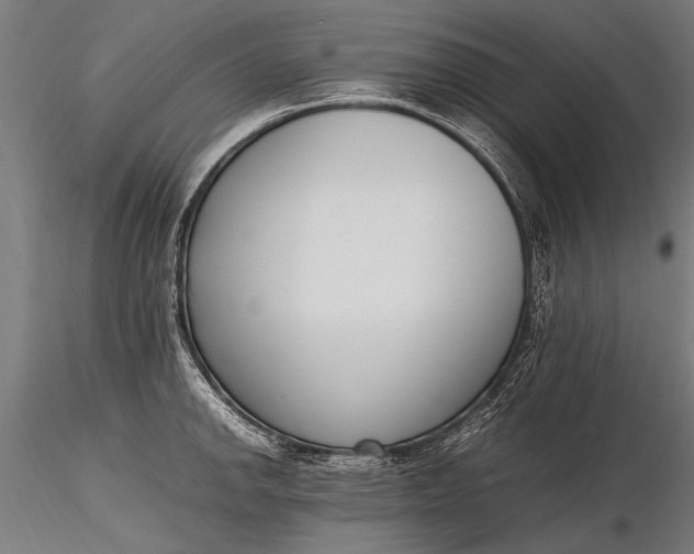 X0000116291142200912141305