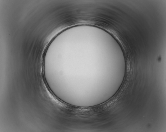 X0000116291143200912141305