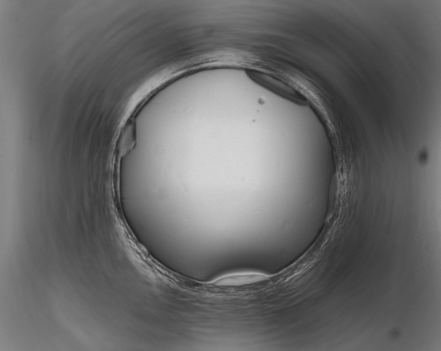 X0000116291146200912141305