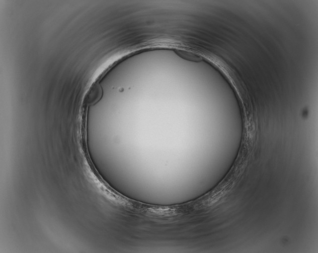 X0000116291147200912141306