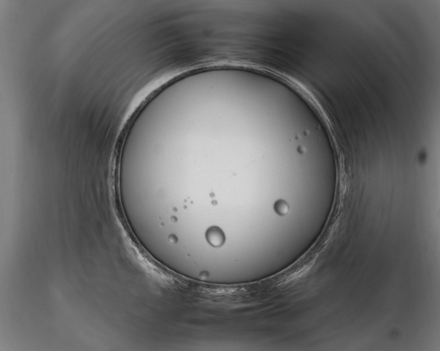 X0000116291149200912141306