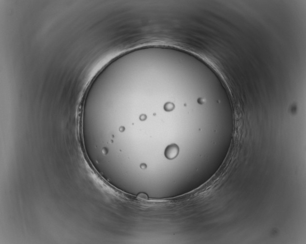 X0000116291151200912141306